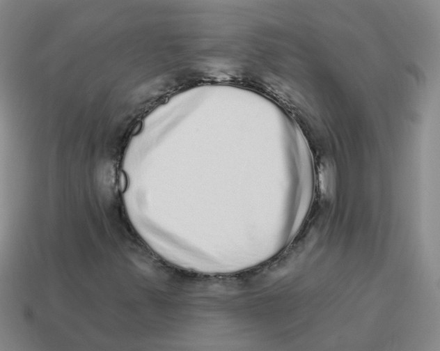 X0000113881347200910221347