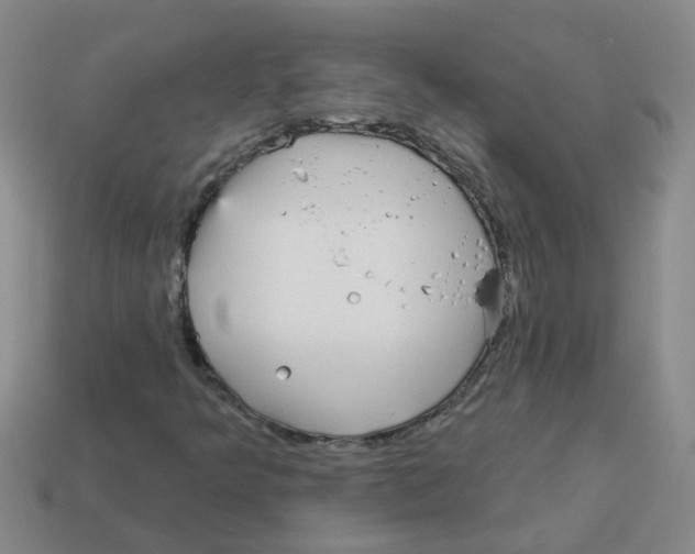 X0000113881349200910221347
