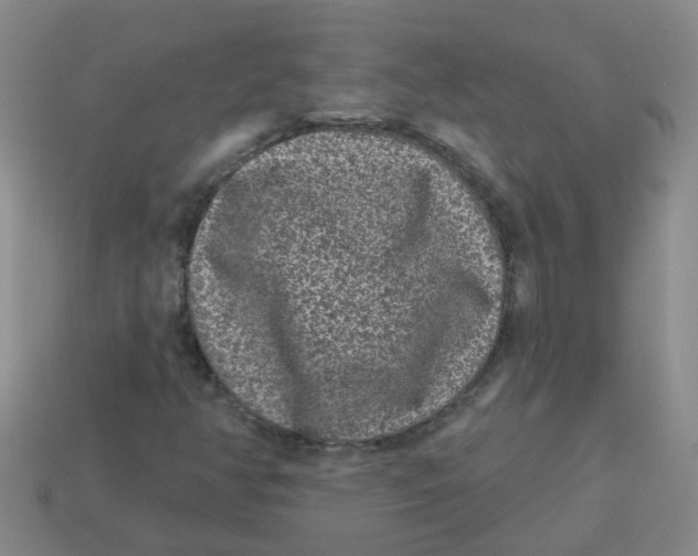 X0000113881350200910221347