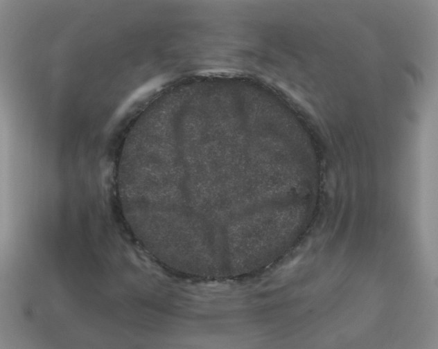 X0000113881351200910221347