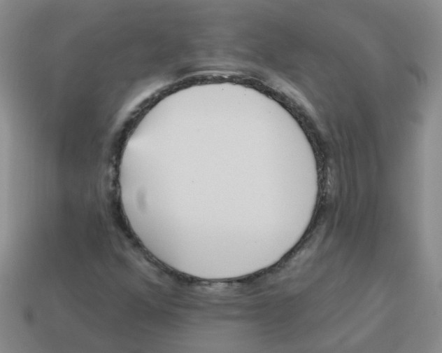 X0000113881352200910221347