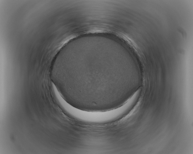 X0000113881353200910221347