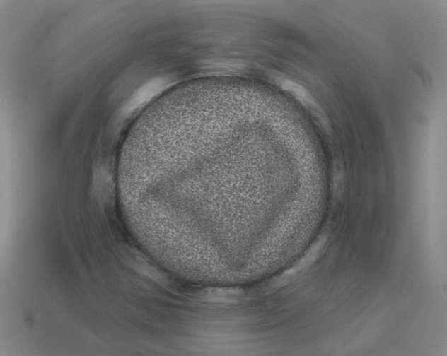 X0000113881354200910221347