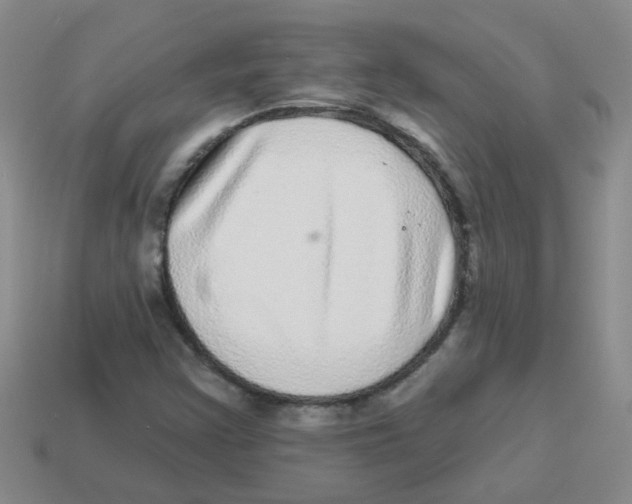 X0000113881355200910221347