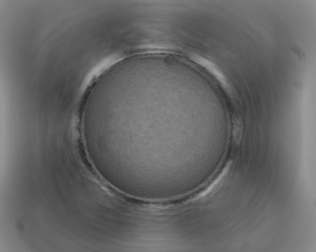 X0000113881357200910221347
