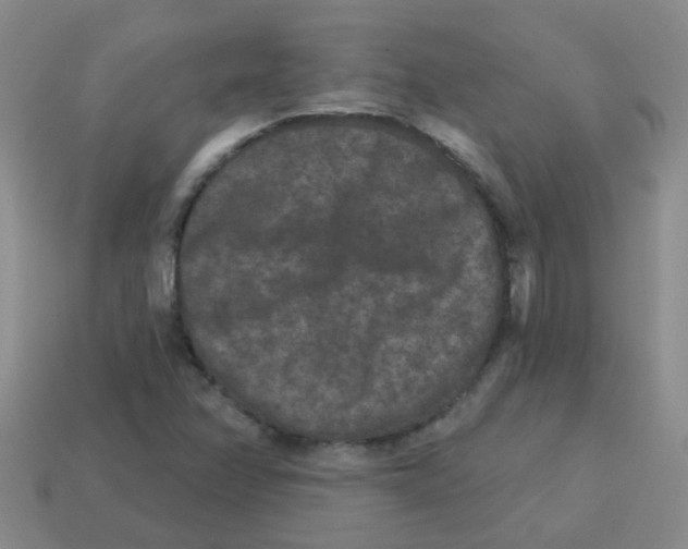 X0000113881358200910221347