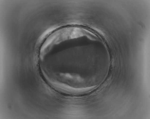 X0000113881359200910221347