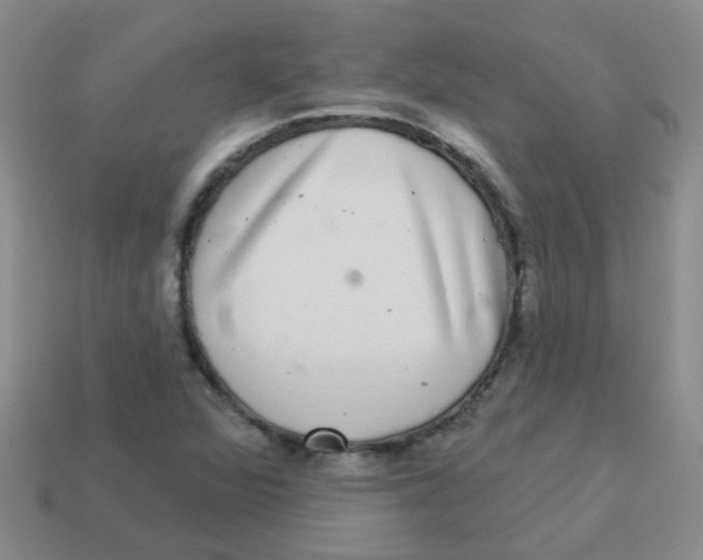 X0000113881360200910221347