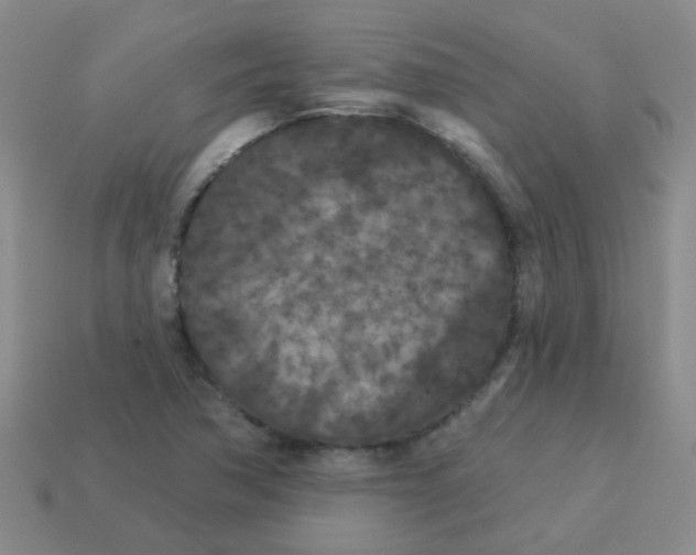 X0000113881362200910221347