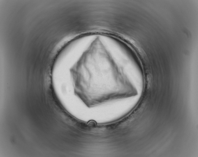 X0000113881363200910221347