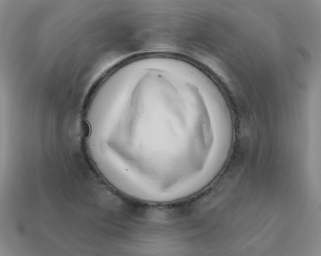 X0000113881364200910221347