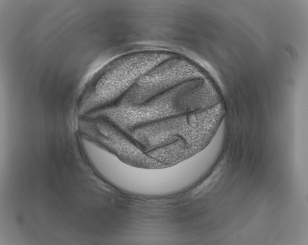X0000113881365200910221347