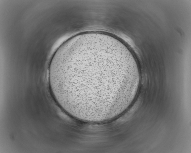 X0000113881366200910221347
