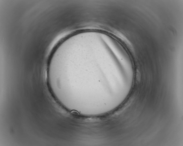 X0000113881368200910221347