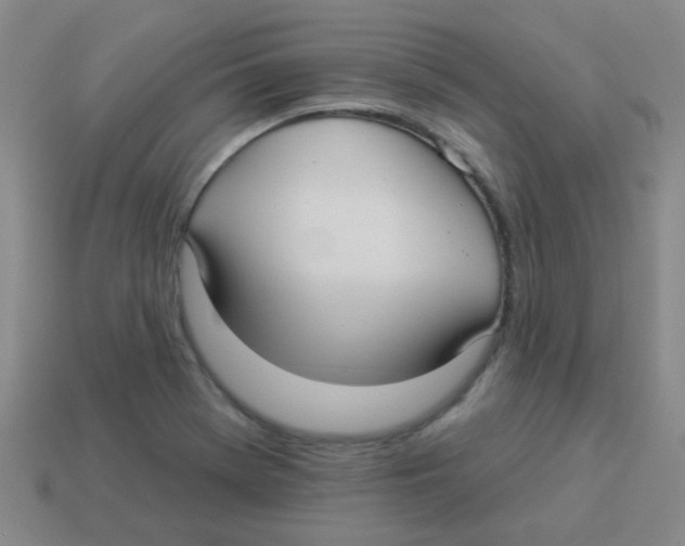X0000113881369200910221347