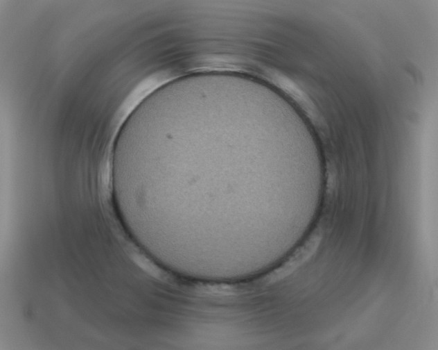X0000113881370200910221347