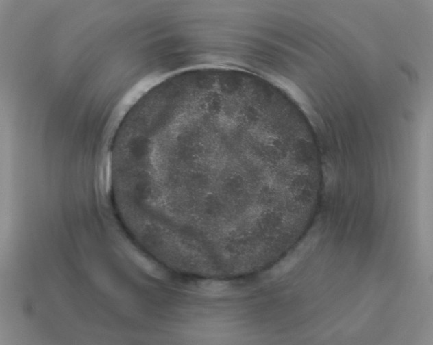 X0000113881371200910221347
