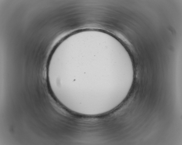 X0000113881372200910221347