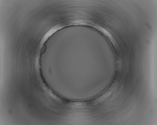 X0000113881373200910221347
