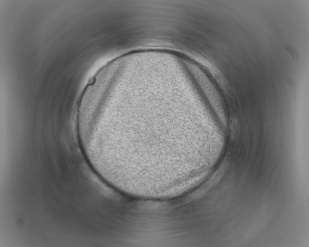 X0000113881374200910221347