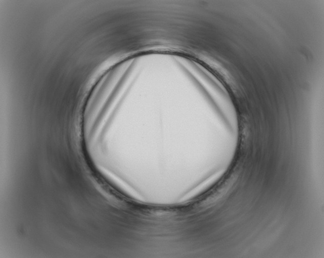 X0000113881375200910221347