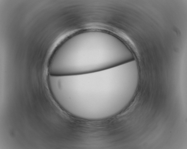 X0000113881376200910221347