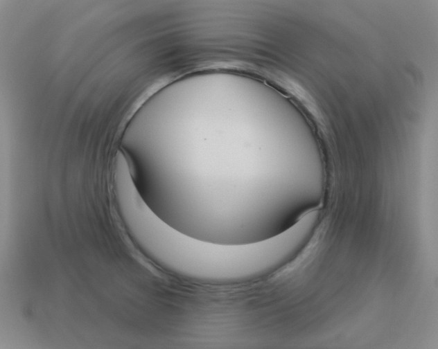 X0000113881377200910221347