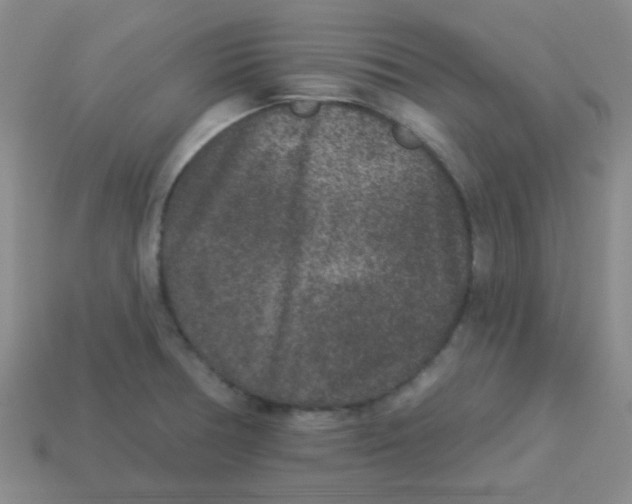 X0000113881378200910221347