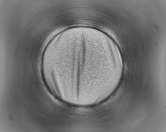 X0000113881379200910221347