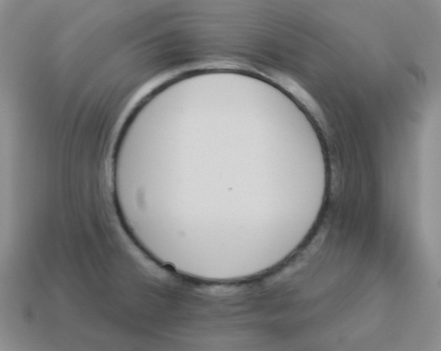 X0000113881380200910221347