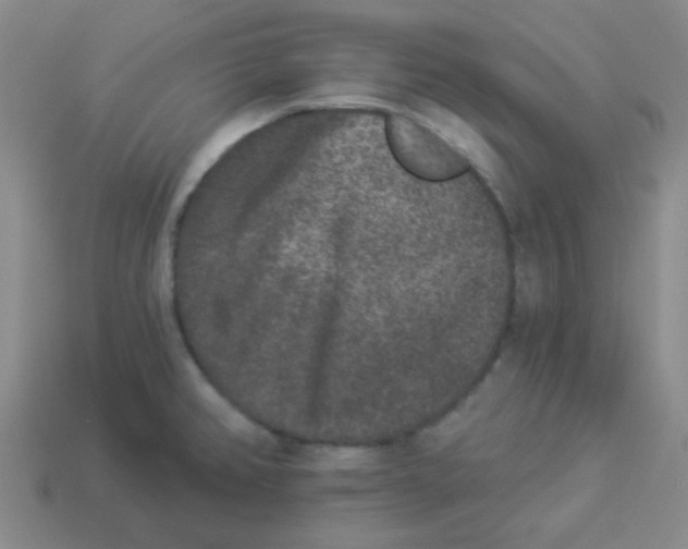 X0000113881382200910221347