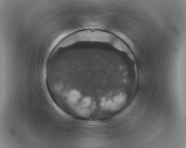 X0000113881383200910221347