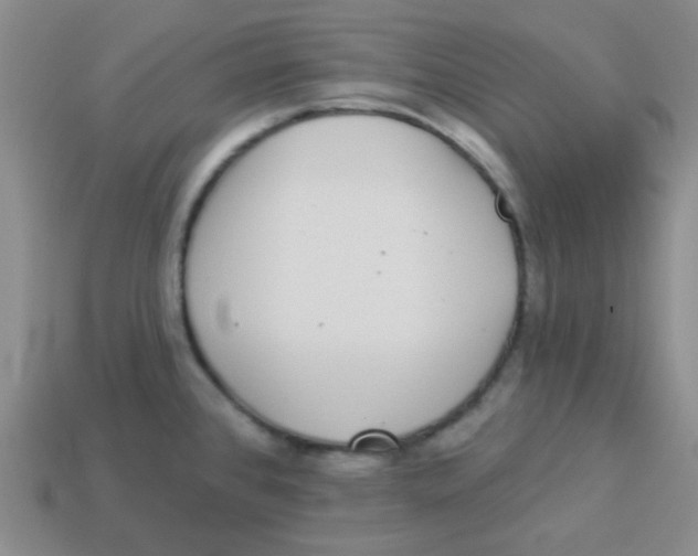 X0000113881384200910221346