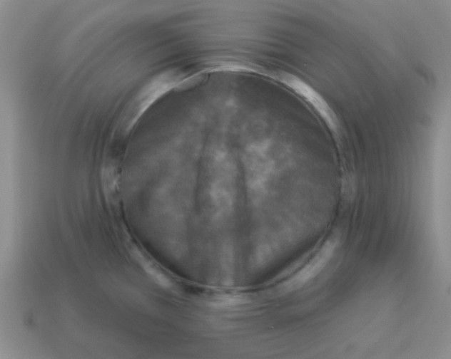 X0000113881385200910221346