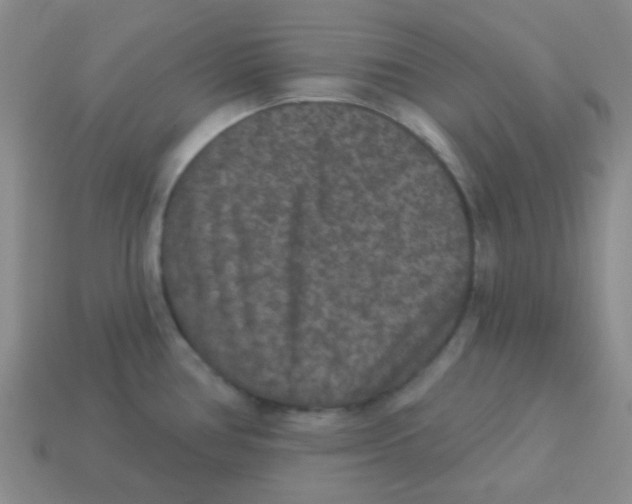 X0000113881386200910221346