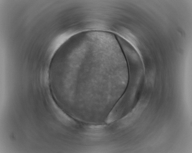 X0000113881389200910221346