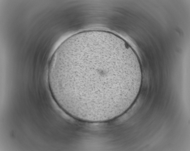X0000113881390200910221346