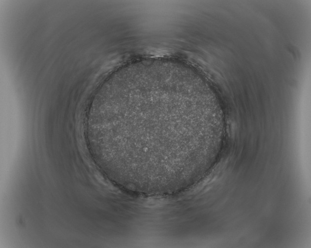 X0000113881393200910221346