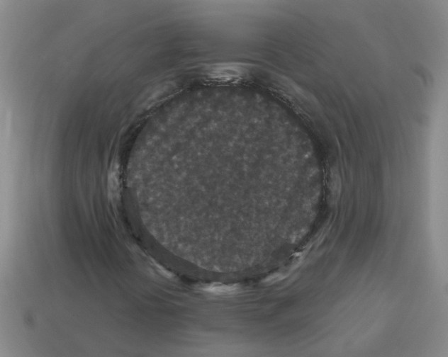 X0000113881394200910221346