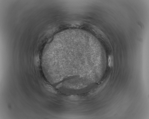 X0000113881395200910221346