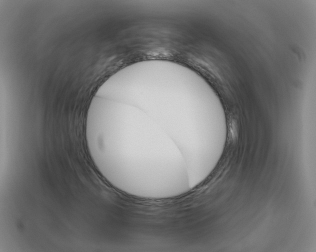 X0000113881396200910221346