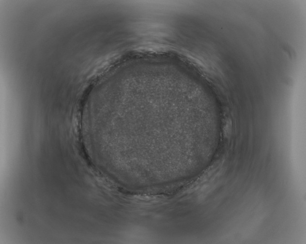 X0000113881397200910221346