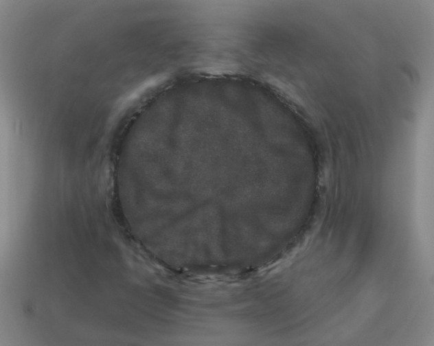 X0000113881398200910221346