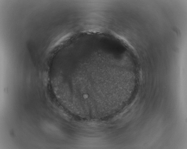 X0000113881399200910221346