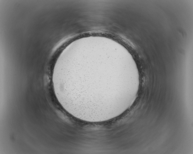 X0000113881400200910221346