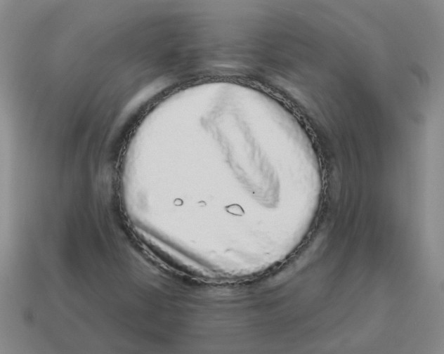 X0000113881402200910221346