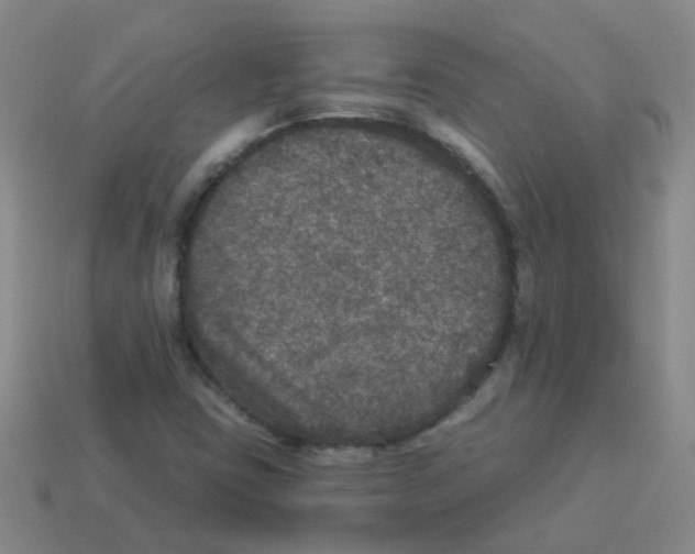 X0000113881403200910221346