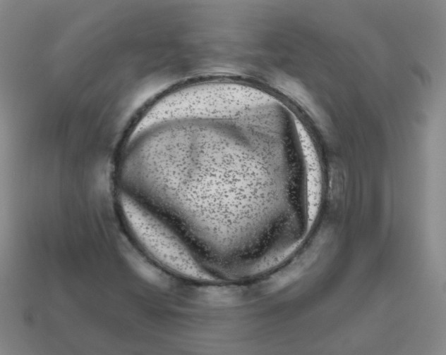 X0000113881404200910221346