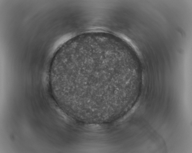 X0000113881405200910221346