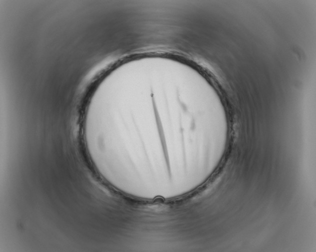 X0000113881406200910221346